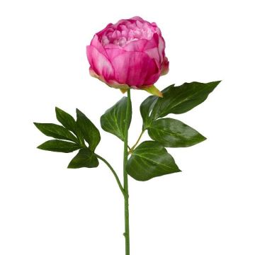 Fleur artificielle Pivoine SEDFY, rose fuchsia, 60cm Fleur artificielle Pivoine SEDFY, rose fuchsia, 60cm