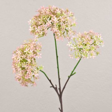 Fleur de Calotropis artificielle GULIO, rose-vert, 75cm, Ø10-15cm