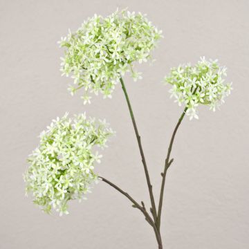 Fleur de Calotropis artificielle GULIO, blanc-vert, 75cm, Ø10-15cm