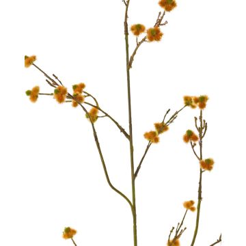 Stirlingia latifolia artificiel COLLAN, orange, 85cm