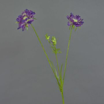Scabiosa en tissu ANDIA, lilas-violet, 80cm, Ø8-10cm