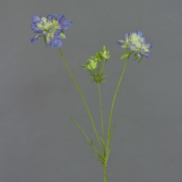 Scabiosa en tissu ANDIA, bleu-violet, 80cm, Ø8-10cm