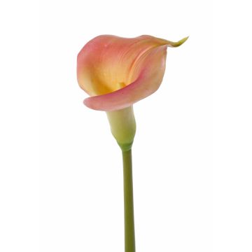 Calla artificiel MIRAC, rose-jaune, 75cm, 13x15cm
