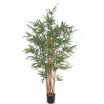 Bambou artificiel LUCINE, vrais troncs, crossdoor, 170cm