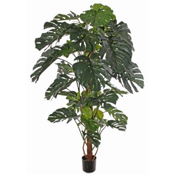 Philodendron Monstera Deliciosa artificiel CHORA, 190cm