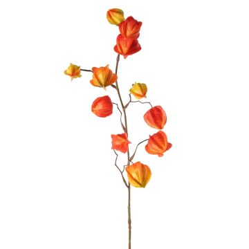Fausse branche de physalis PERSEI avec fruits, orange, 80cm