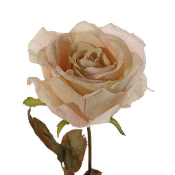 Rose artificielle NAJMA, crème, 65cm, Ø11cm