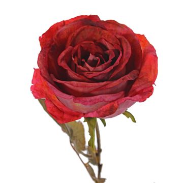 Rose artificielle NAJMA, rouge, 65cm, Ø11cm