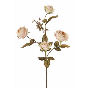 Branche de rose artificielle SITARA, crème, 75cm, Ø5-8cm