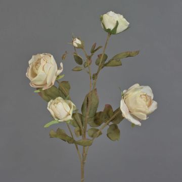 Branche de rose artificielle SITARA, crème, 75cm, Ø5-8cm