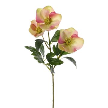 Rose de Noël artificielle AKRAB, crème-rose fuchsia, 45cm, Ø5-8cm