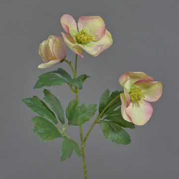 Rose de Noël artificielle AKRAB, crème-rose fuchsia, 45cm, Ø5-8cm
