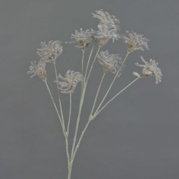 Semences de la clématite artificielle HARWAY, brun foncé, 70cm