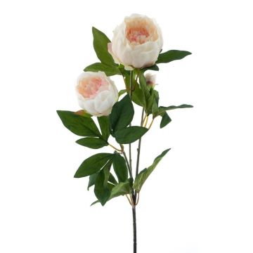 Branche de pivoine décorative THEMIA, crème-rose, 65cm Branche de pivoine décorative THEMIA, crème-rose, 65cm