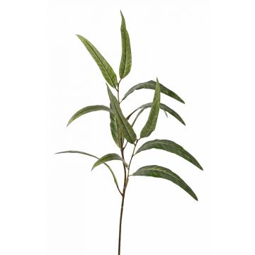 Branche d'eucalyptus artificielle SEMA, vert, 70cm