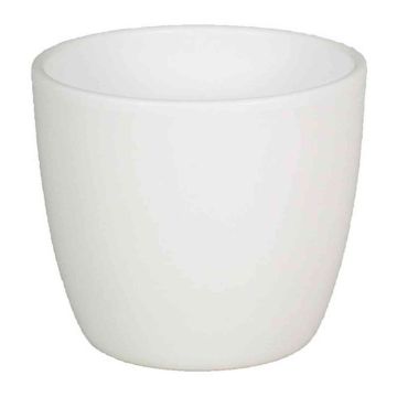Pot en céramique pour plantes petit TEHERAN BASAR, blanc mat, 6,5cm, Ø8,5cm Pot en céramique pour plantes petit TEHERAN BASAR, blanc mat, 6,5cm, Ø8,5cm