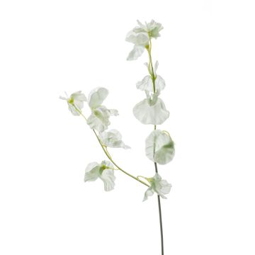 Fleur artificielle lathyrus VICENZO, vert-blanc, 50cm