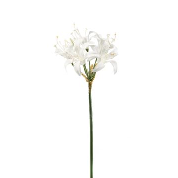 Fleur de Crinole artificielle THABAN, blanc, 65cm