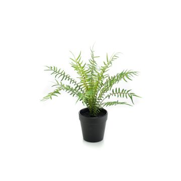 Fougère type Blechnum artificielle CASCOT, vert, 20cm