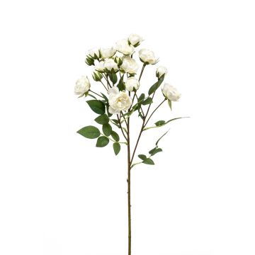 Branche de rose artificielle TOSSA, blanc, 55cm