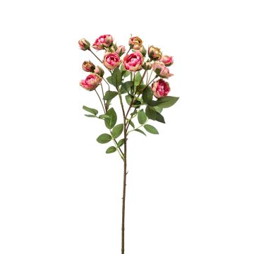 Branche de rose artificielle TOSSA, rose fuchsia-vert, 55cm
