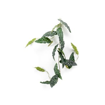 Guirlande de begonia maculata artificielle JOELLE, vert-blanc, 120cm