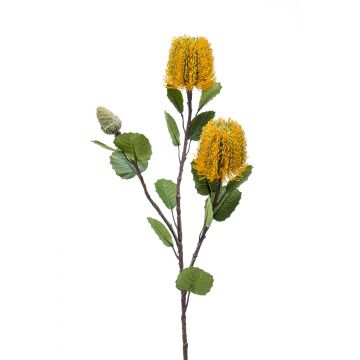 Fleur artificielle Banksia CONAKIR, jaune, 70cm