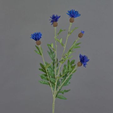Bleuet artificiel ORTIGO, bleu, 60cm