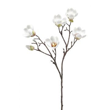 Fleur artificielle magnolia ANEU, crème, 65cm