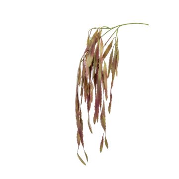 Branche de rhipsalis artificielle EHUD, brun-lilas, 80cm