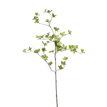 Branche de cornouiller artificielle SAMAY, vert, 115cm