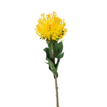 Fleur artificielle Protéa HERVAS, jaune, 70cm