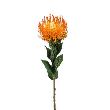 Fleur artificielle Protéa HERVAS, orange, 70cm