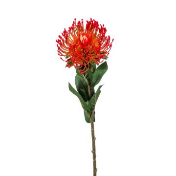 Fleur artificielle Protéa HERVAS, rouge, 70cm