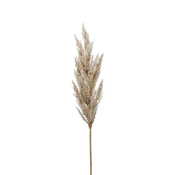 Branche artificielle Panicule d'herbe de la pampa BATERNO, crème, 90cm