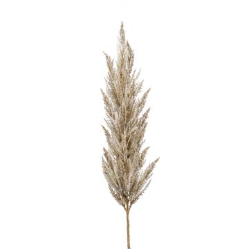 Branche artificielle Panicule d'herbe de la pampa BATERNO, crème, 115cm