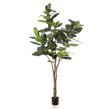 Ficus Elastica artificiel FERIA, tronc artificiel, vert, 210cm
