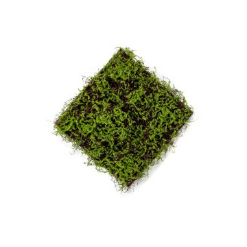 Tapis de mousse artificiel MIRANDILA, vert, 50x50cm