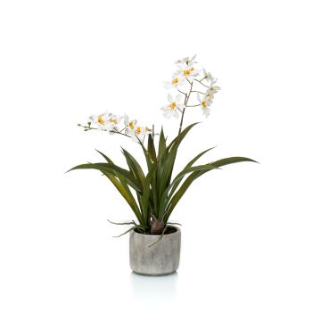 Fausse orchidée Oncidium COLUNGA en pot en céramique, blanc, 45cm