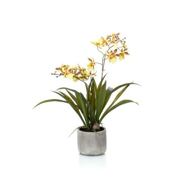 Fausse orchidée Oncidium COLUNGA en pot en céramique, jaune-orange, 45cm