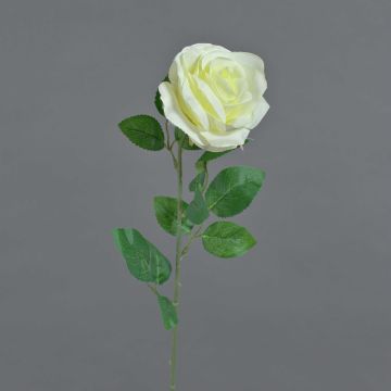 Fleur artificielle Rose PEZOS, crème, 60cm