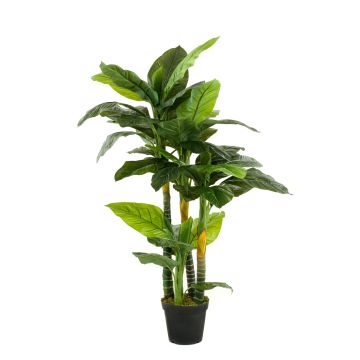 Plante artificielle Spathiphyllum SIERO, vert, 160cm