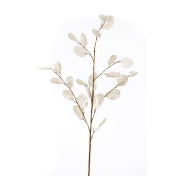 Branche de lunaire artificielle BUELNA, crème, 105cm