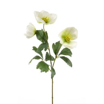 Rose de Noël artificielle MERUEL, blanc-vert, 45cm