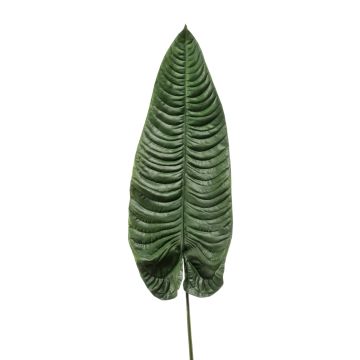 Feuille de colocasia artificielle ABANTO, vert, 105cm