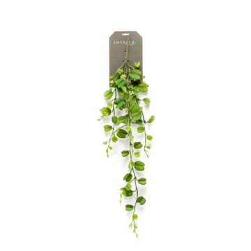 Hoya kerrii artificiel ORERA sur piquet, vert, 90cm