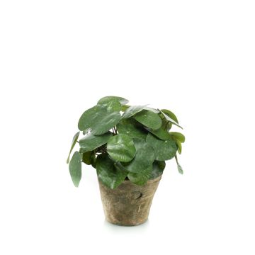 Plante à monnaie chinoise artificielle SYBIL en pot en terre cuite, vert, 22cm