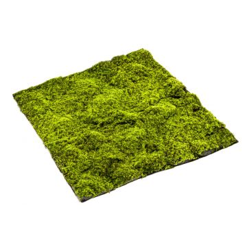 Tapis de mousse de sphaigne artificiel FERMIN, vert, 100x100cm
