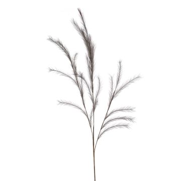 Branche artificielle Panicules de stipa YECORA, gris, 130cm