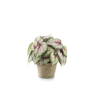 Bégonia rex artificiel MEIRA en pot en terre cuite, touffu, vert-rose, 25cm